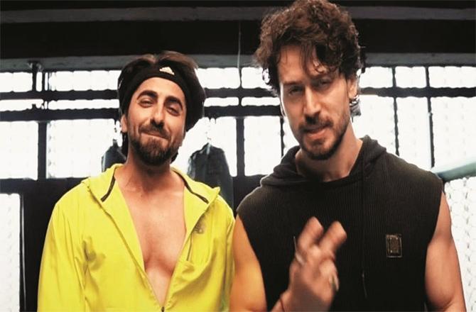  آیوشمان  اور ٹائیگر میں  بڑا ایکشن ہیرو کون ہے؟