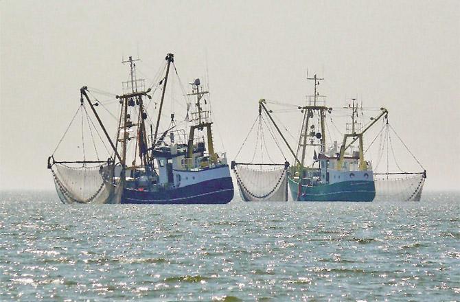 پرس سین ماہی گیری کی سال بھر اجازت دینے کا مطالبہ