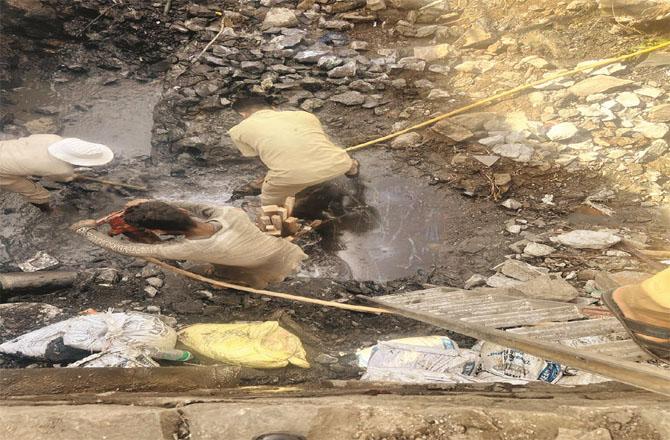 کل سے ممبئی اور تھانے میں ۳۰؍ دن تک  پانی کٹوتی