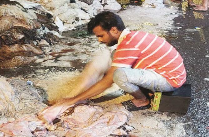 قربانی کی کھالیں: ممبئی اور بھیونڈی کے مقابلے ریاست کے حالات بہتر رہے