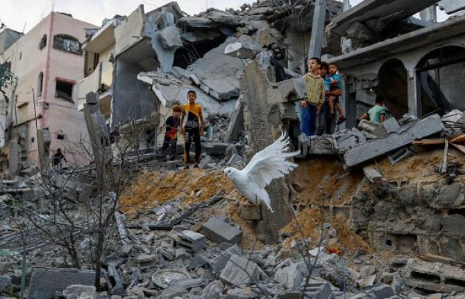 محصور غزہ میں اسرائیل نے نسل کشی کی متعدد کارروائیاں کی ہیں: اقوام متحدہ