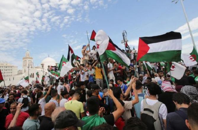 فلسطین نواز قرارداد: مرحلے اور بھی ہیں