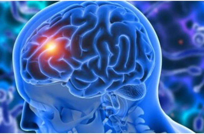 دماغ کو تیز کرنے کے لیے اپنی خوراک میں ۴؍ سپر فوڈز شامل کریں