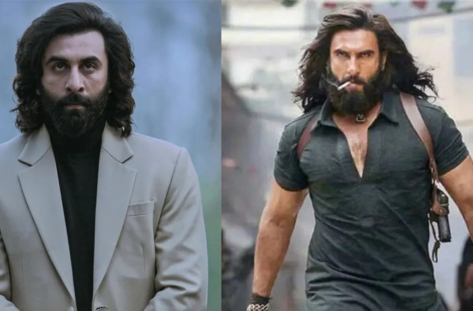 ’’دُھرندھر‘‘ کا کلیکشن :’’اینیمل‘‘کو ’’دُھرندھر‘‘  پیچھے کردیا