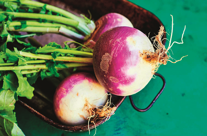 شلجم، دل، ہڈیوں اور جگر  کیلئے بہترین سبزی ہے