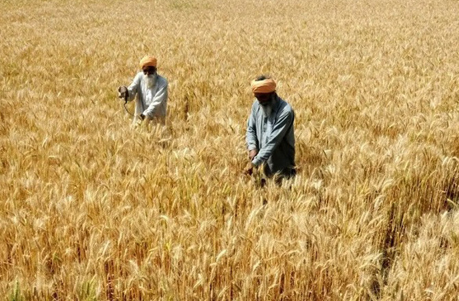 جالنہ: فصل ریلیف اسکیم میں۴۲؍ کروڑ روپے کا غبن ، محکمہ محصول کے۲۱؍ اہلکار معطل
