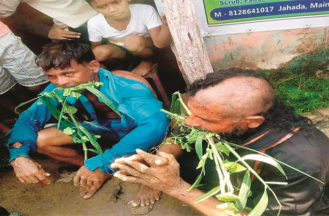 اُدیشہ میں دلتوں کی تذلیل پر کانگریس سخت برہم
