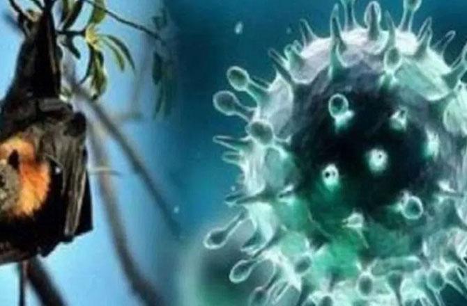 کیرالا: نیپاہ وائرس سے متاثرہ مریضہ کی حالت تشویشناک