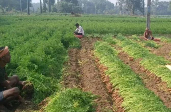 گاجر منڈی کی تعمیر سے ۱۰۰؍کسان خاندانوں کے لیے آمدورفت میں خلل پڑنے کا خطرہ