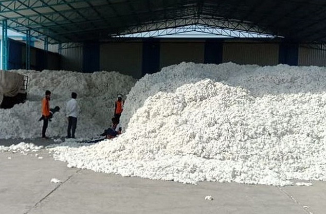 تلنگانہ میں جننگ ملوں اور تاجروں کی غیرمعینہ مدت کی ہڑتال جاری، کپاس کی خریداری ٹھپ