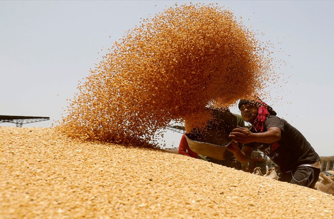 مہاراشٹر میں ربیع کی فصل کی بوائی سست پڑی ،  کسان پریشان 