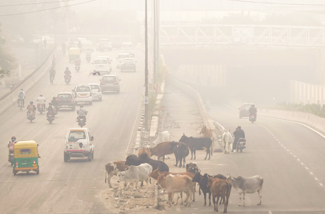 راجدھانی دہلی ریڈ زون میں، ایئر کوالیٹی انڈیکس ۴۰۰؍ کے پار پہنچ گیا 