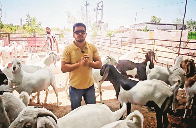 یاد ہے بکرے پالنے کا شوقین آصف شیخ؟ اس شوق نے اسے بکروں کا تاجر بنا دیا