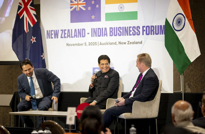 ہند۔نیوزی لینڈ:دو طرفہ شراکت داری اور اقتصادی مواقع کو فروغ دینے پر زور