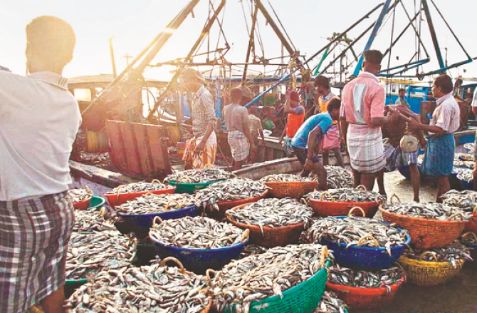 چین اور جاپان تنازع کا فائدہ ہندوستان کی سی فوڈ انڈسٹری کو مل رہا ہے  