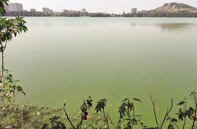 بھیونڈی : ورالا تالاب کی خستہ حالی پرکارپوریشن کی لاپروائی بے نقاب