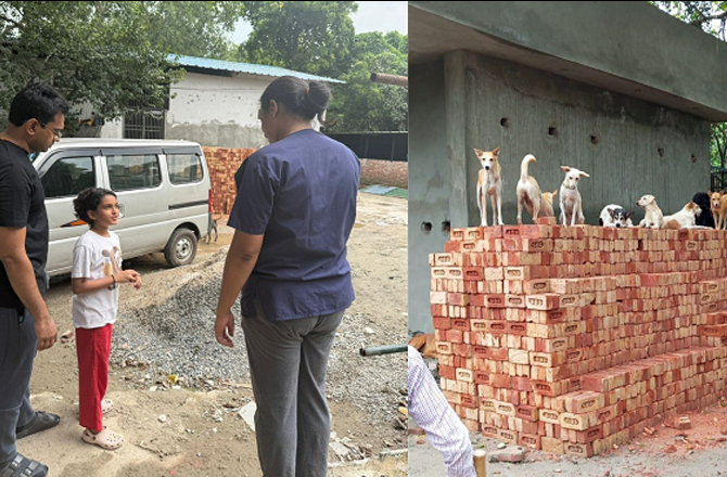 آوارہ کتوں پر بحث: پیدائش قابو کرنیوالے مرکز کی تعمیر نو کیلئے طالبہ کا ۲؍ لاکھ روپے کا عطیہ