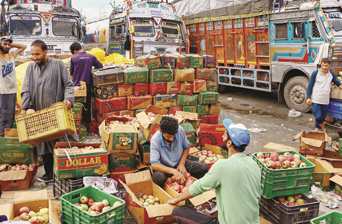 کشمیر میں سیب کسانوں کو ایک ہزار کروڑ کا نقصان
