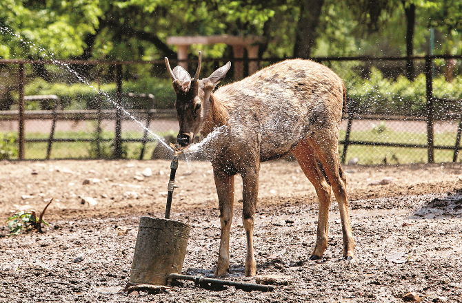 دہلی، یوپی اور بہار میں شدید گرمی، اتراکھنڈ میں بارش اور برف باری کے آثار