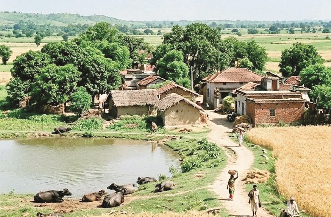 ’چَیت‘ میں کسان ہی نہیں ، پیڑ، پودے اور پرندے بھی نئے رنگ میں نظر آتے ہیں 