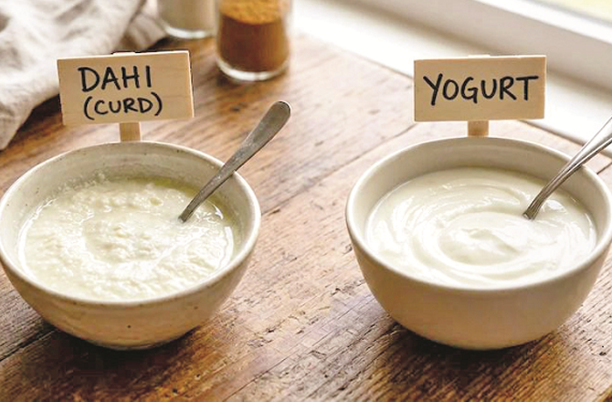 دہی بمقابلہ یوگٹ: صحت، فرق اور انتخاب کی مکمل رہنمائی