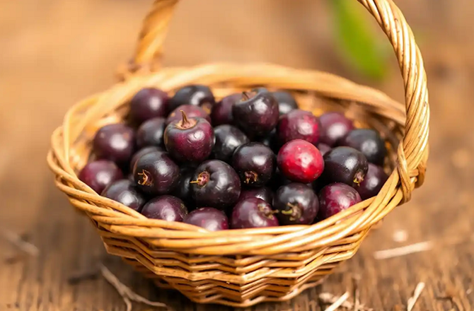 فالسہ جسم کو مختلف بیماریوں سے بچانے میں مدد کرتا ہے