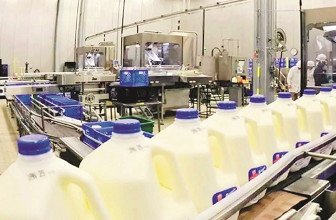 ہماچل: دودھ کی امدادی قیمت میں اضافہ سے ڈیری کے کار و بار یوں میں نئی امید