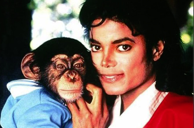 فلم ’’مائیکل ‘‘میں نظر آنے والا مائیکل جیکسن کا پالتو چمپینزی ببلز اس وقت کہاں ہے؟