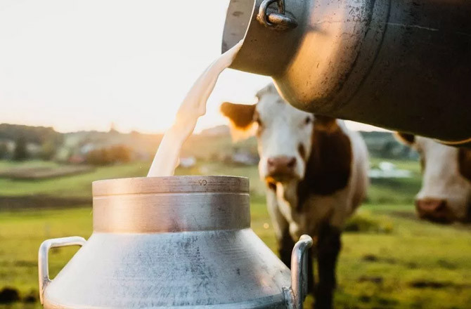 کیرالا ۲۰۳۱ء تک دودھ کی پیداوار میں خود کفیل ہو جائے گا 