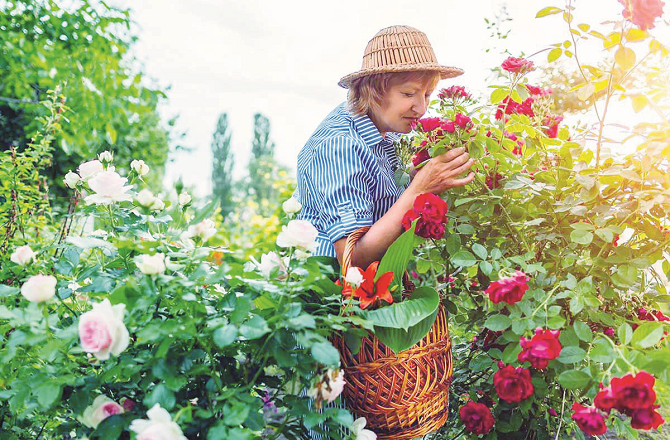 پھولوں یا عطر کی خوشبو ہوا میں پھیل جاتی ہے، کیوں؟