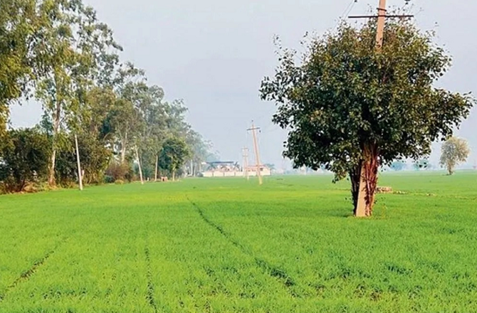 موگا: سکھ خاندان نے قبرستان کے راستے کیلئے اپنی زمین عطیہ کی