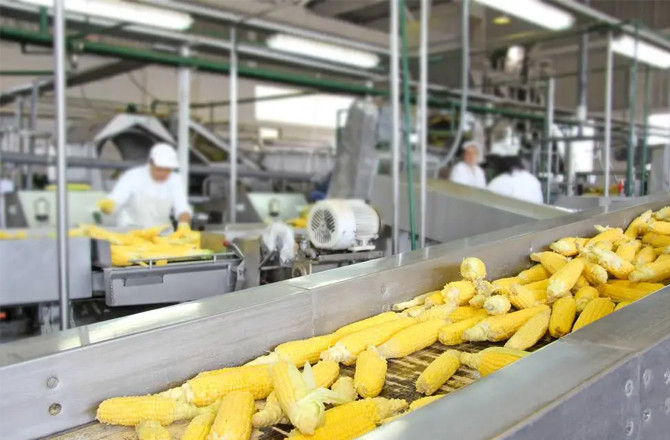 فوڈ پروسیسنگ پالیسی ۲۰۲۳ء کے ۳۳؍ پروجیکٹوں کو منظوری