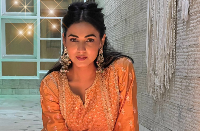 "کسی کو برا بناکر آپ اچھے نہیں بن سکتے ،سونل چوہان  کی پیڈ پی آر پر تنقید 