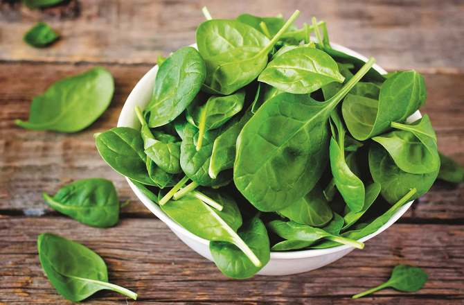  پالک کا استعمال یادداشت اور توجہ بڑھانے میں معاون