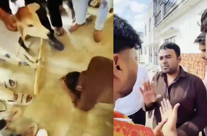 بارہ بنکی: مسلم نوجوان کو بچھڑے کے سامنے زبردستی سجدہ کروانے کا ویڈیو وائرل