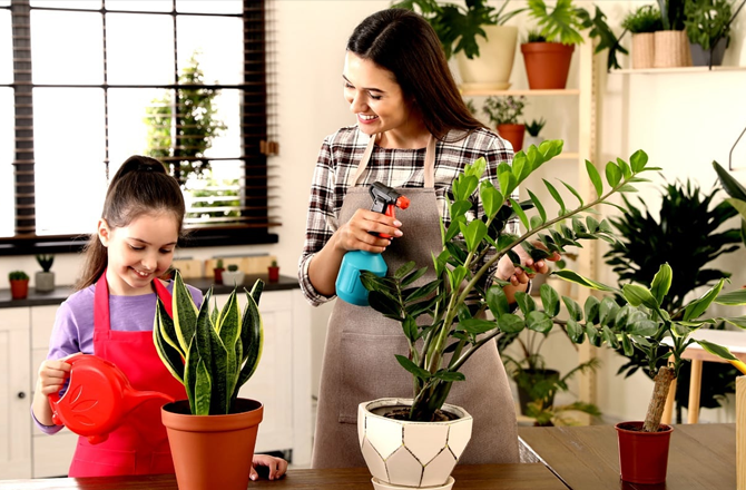 گرمی کے موسم میں پودوں کا کیسے خیال رکھیں؟