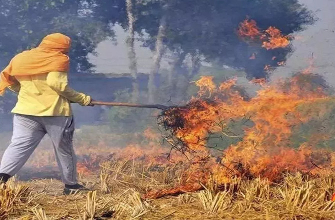 کچرے سے دولت: پرالی سے ڈامر بنانے کی تکنیک کو شیوراج نے تاریخی قرار دیا