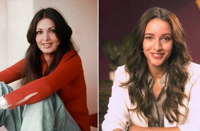 پروین بابی کی بایوپک رُک  گئی، ترپتی ڈمری مرکزی کردارادا کرنے والی تھیں