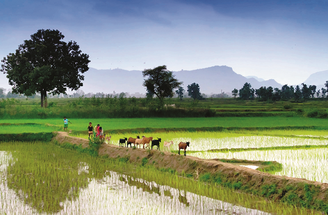 آج، رحمٰن کے بندوں کے ۱۳؍اوصاف، سلیمان ؑ کی حکومت اور ملکہ ٔ سبا کا تذکرہ 