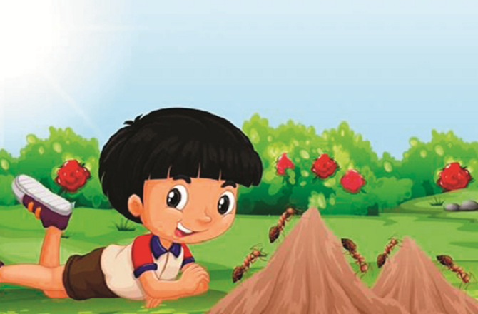 مختصر کہانی: ایک کاہل لڑکا