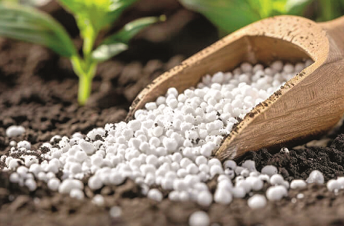  توانائی کے بعد کھاد کا بحران، دنیا کے غذائی نظام کوشدید خطرہ