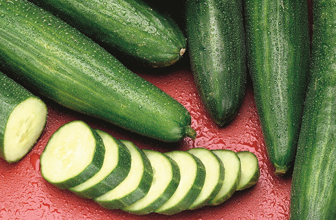 کھیرا کھانے سے جسم کو تازگی اور توانائی ملتی ہے