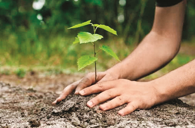 ریاست میں ۳۰۰؍ کروڑ درخت لگانے کا وزیر اعلیٰ کا عزم