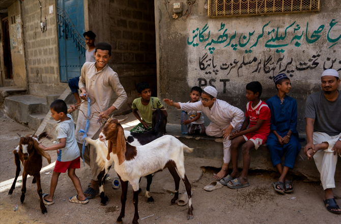 قربانی ایک مکمل تربیتی نظام ہے!