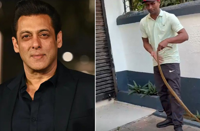 سلمان خان کے گلیکسی اپارٹمنٹ میں ۵؍ فٹ لمبا `دھامن سانپ ملا 