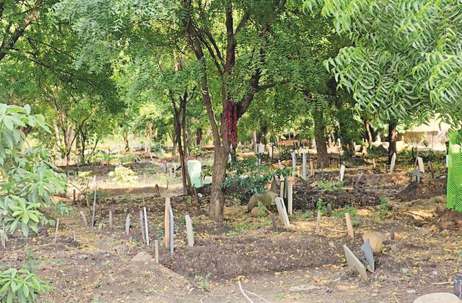 ناندیڑ آسرا نگر قبرستان کے اطراف حفاظتی دیوار بنانے کا پھر مطالبہ 