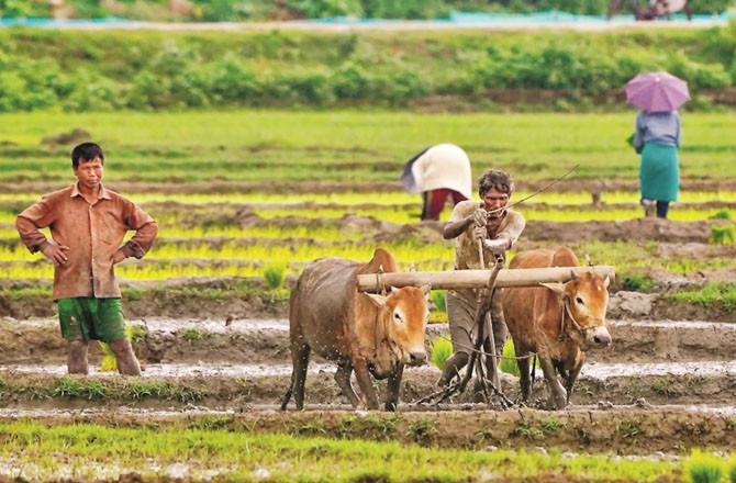 ملک میں امسال ایک دہائی میں سب سے کم بارش