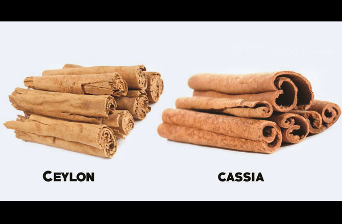 Cassia or Ceylon دارچینی کی اقسام، دونوں میں کیا فرق ہے؟