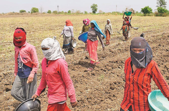 اگست میں نا مناسب بارش کے سبب کئی اضلاع میں خشک سالی کا خدشہ