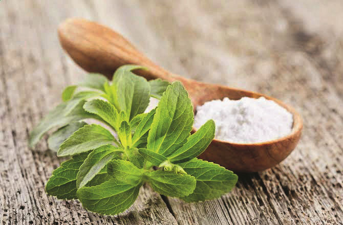 Stevia نامی پودا شکر کا متبادل ہوسکتا ہے
